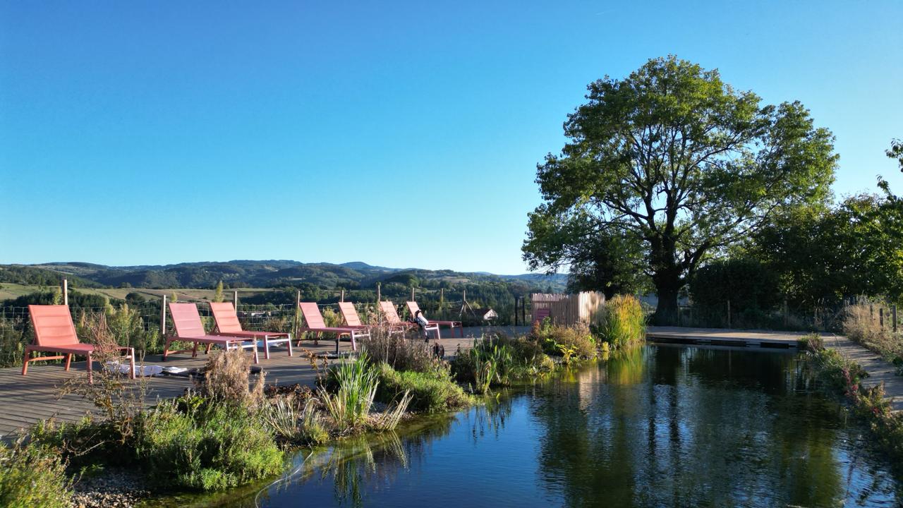 Terrasse en bois de la piscine naturelle avec transats corail, plantations aquatiques et grand arbre face au bassin