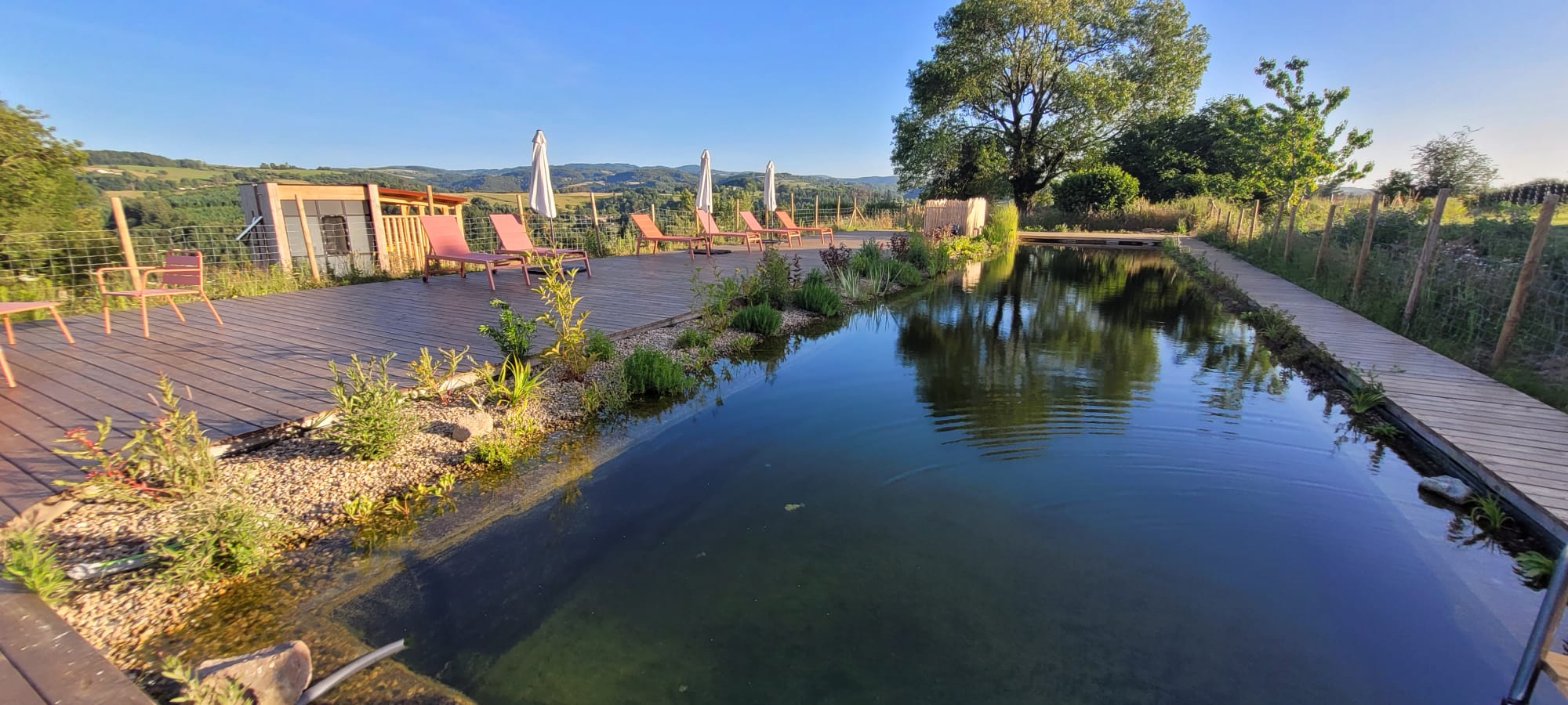 Bassin naturel de nage entouré d'une terrasse en bois avec transats et vue sur les collines du Livradois-Forez