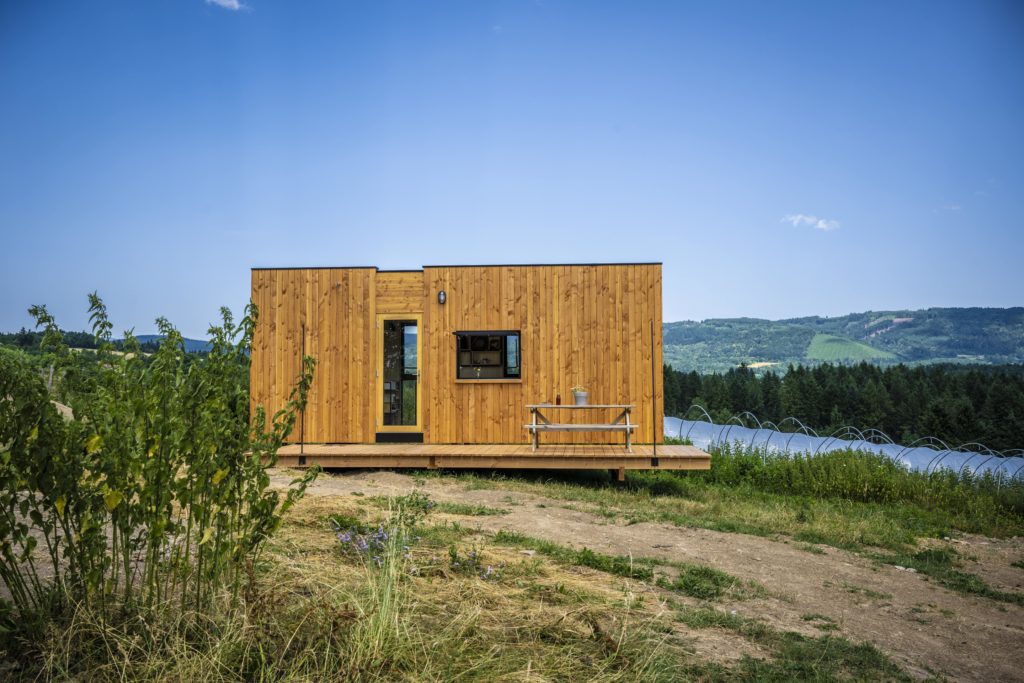 25-06-25 - Le domaine du coq en Pat © Henri Derus Photographie 18-min