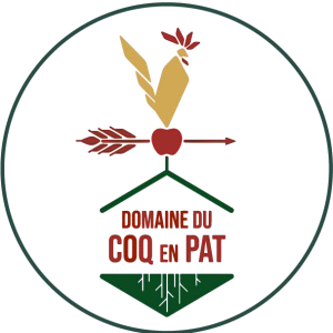 logo-insta-2.png-2-removebg-preview