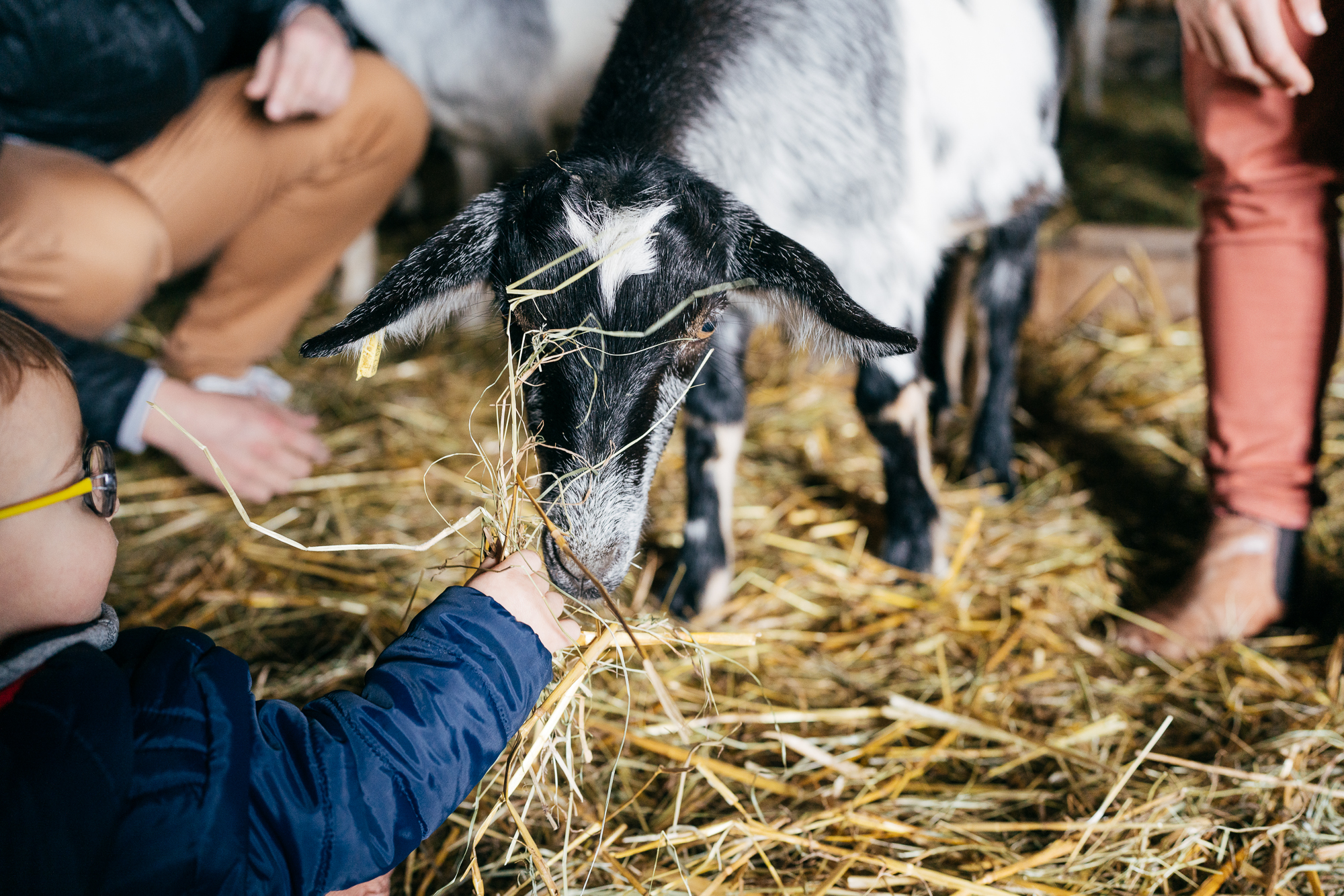 Que faire avec des enfants dans le Livradois-Forez ?