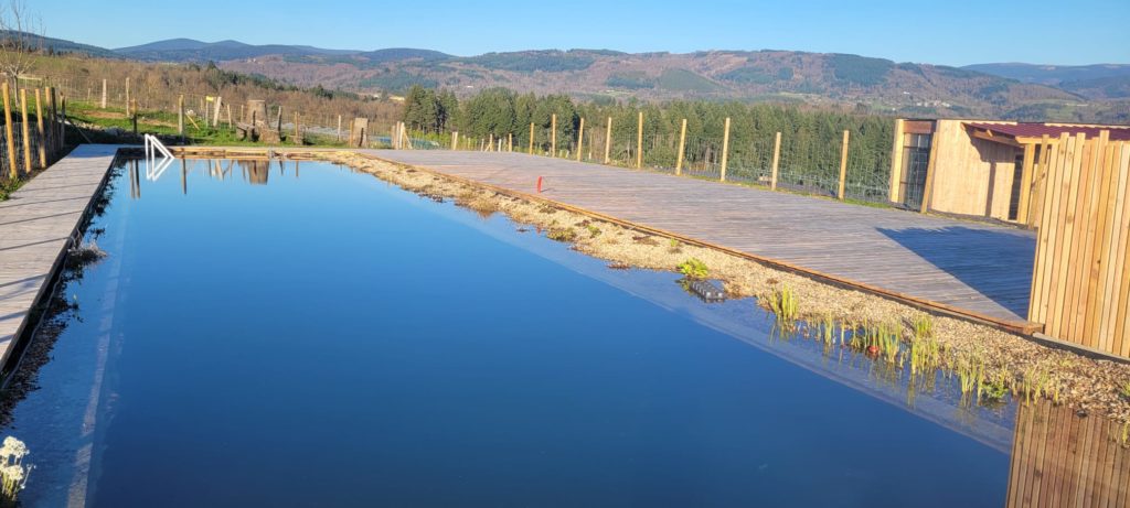 bassin horizontal vue1